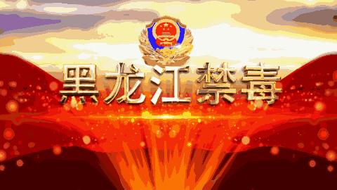 英国首相约翰逊目睹囚犯体内藏毒扫描照，竟被吓得连连*退倒**