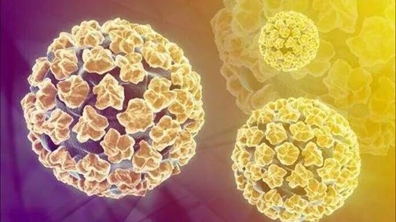 关于体检，看看你做对了吗？