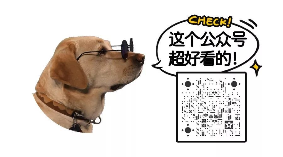 养好小型犬,养好一只狗不容易