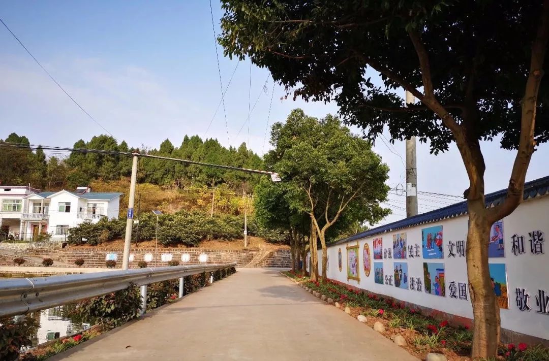 聚焦乡村振兴共建和谐美丽新农村,聚焦三农合村并居