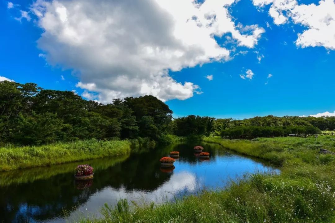 园林大讲堂｜清溪川：韩国人最引以为傲的生态改造项目