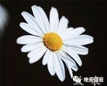 鄠邑区管坪村“第一书记”王辉荣突发脑溢血不幸离世他的足迹永远留在青山绿水间