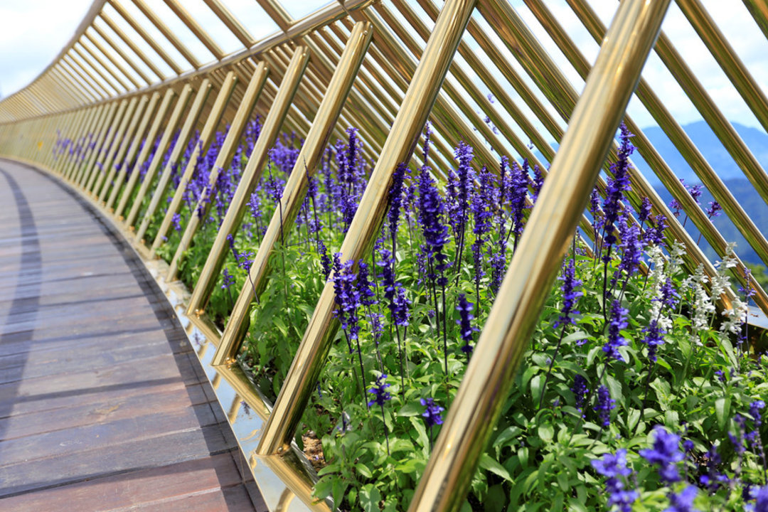 最新桥梁设计效果,不可思议的桥梁设计