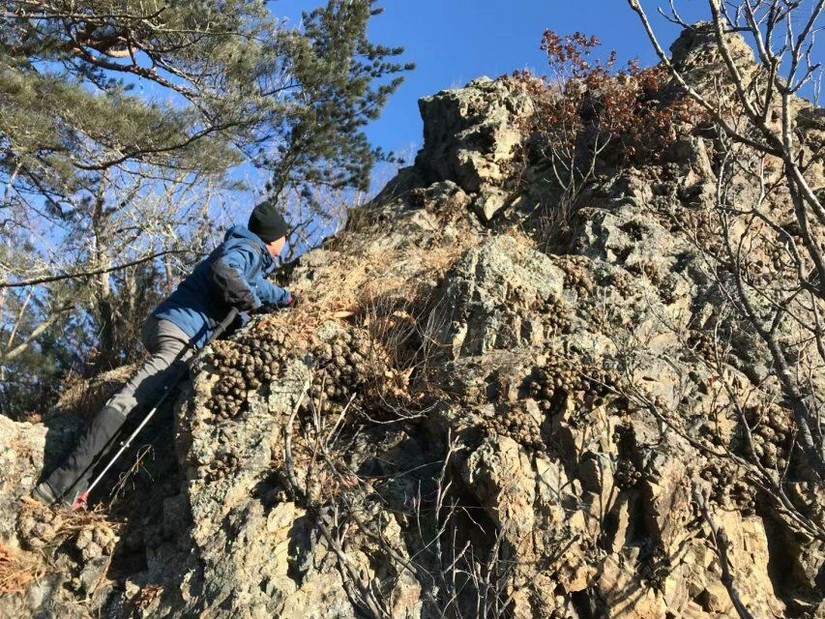 汪清天一户外12月30日登鹰嘴砬子精彩回放