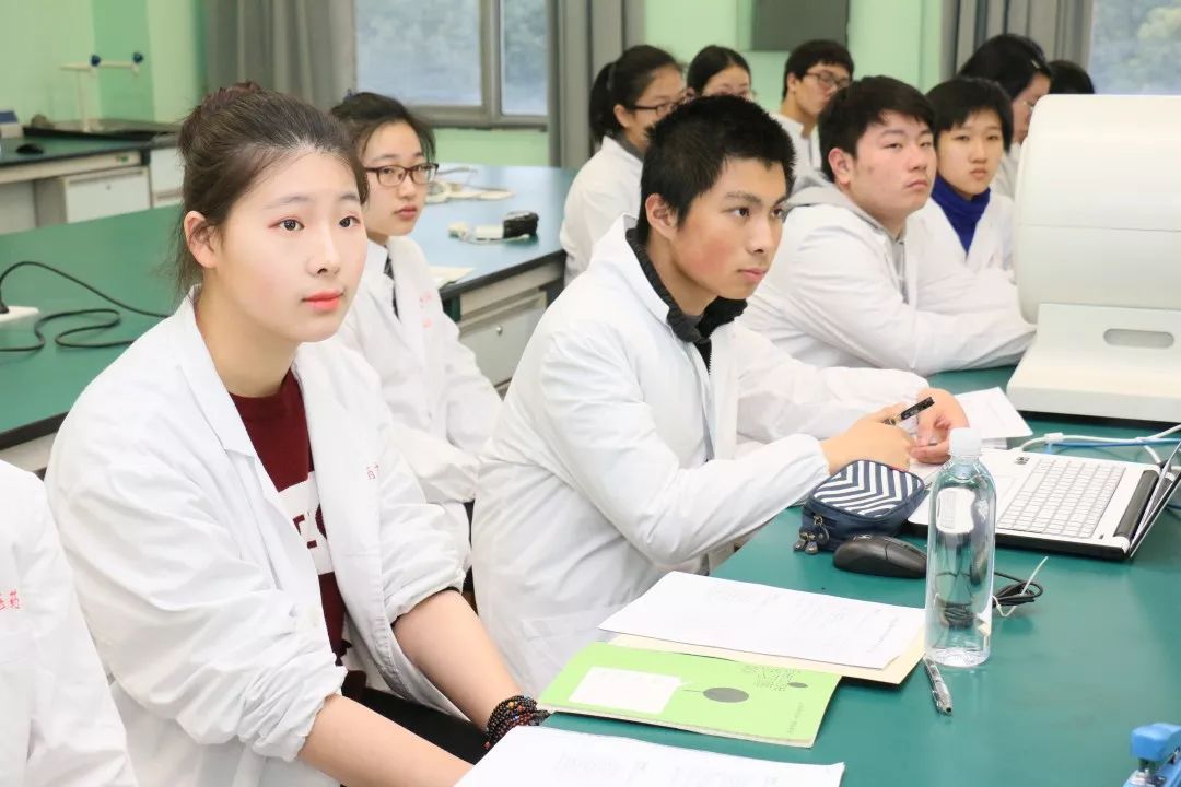 在学生心里播下一颗中医药的种子上海中医药大学中医药实践工作站