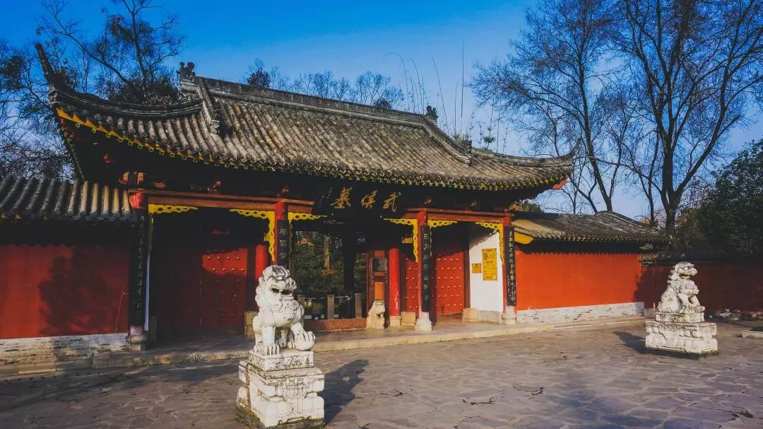 何大草作品集,何大草