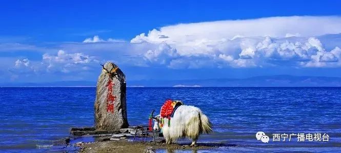 家底厚底气足，青海水景美如画！