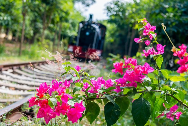 逃离阴冷的成都，到三亚享受这个冬天！