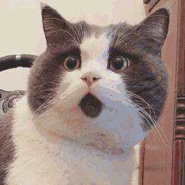 被省里曝光了!临沂这个男子春节要换个地方过年了……