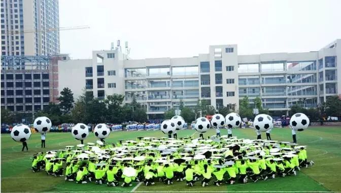 达州市校园足球特色校,成都全国足球示范学校