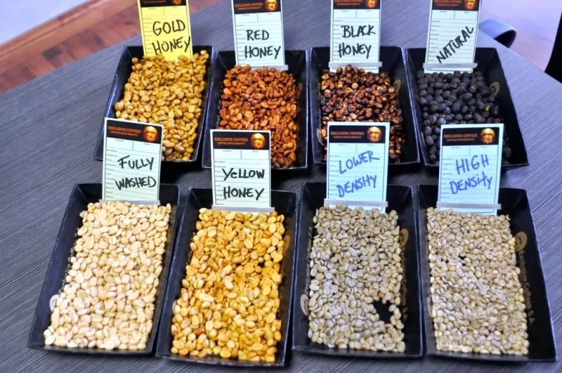 黑蜜和黄蜜咖啡区别,咖啡红蜜黑蜜