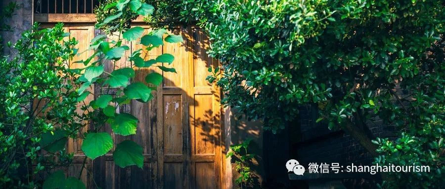 十大旅游热点事件,2019年十大旅游经济热点