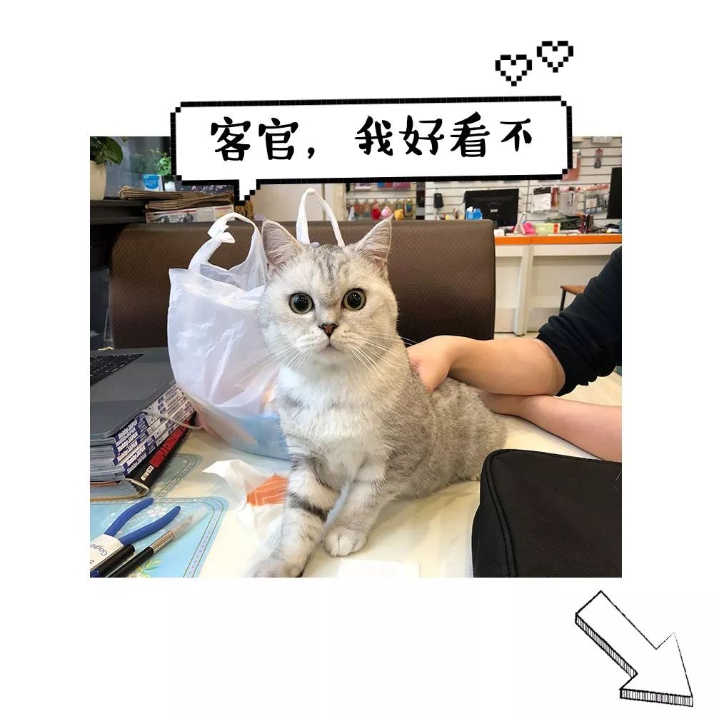 2024最值得入手的hg高达,hg命运高达新旧对比