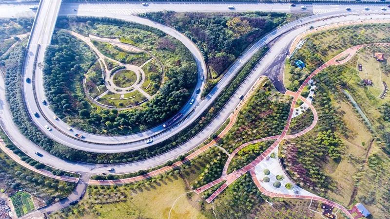 我是黎托，梦想直达雨花，幸福“黎”你很近！