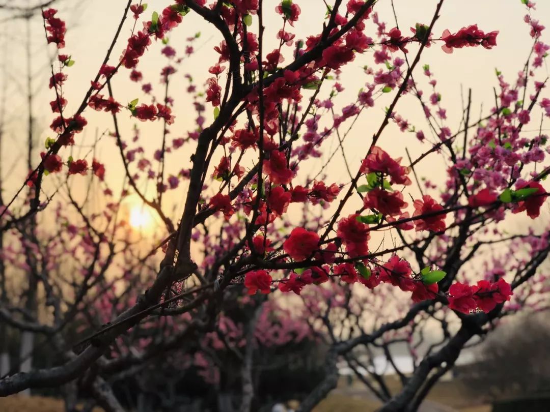 海淀稻香湖冰雪世界,海淀区冰雪场所