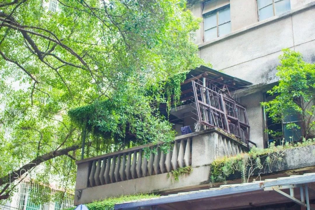 一座城市美食,梧州特色美食老字号