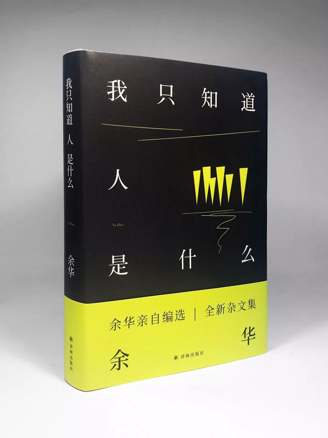 最好的译林书籍,译林书单经典100篇