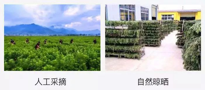 乾隆养生5大法宝,乾隆喝啥汤