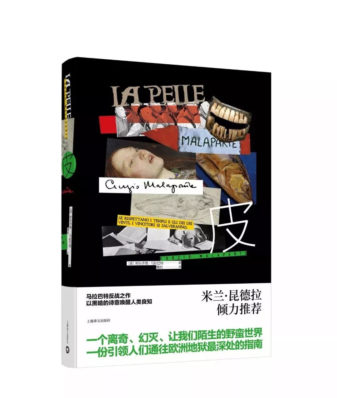 大地伦理与河流美学｜文艺联合书单第25期