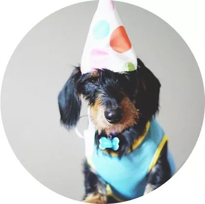 最近很火的美妆神器,现在流行的美容仪器