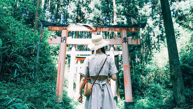 七月日本大阪,七月的日本大阪