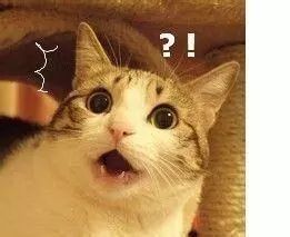 这些网红眼药水国外被禁售,这几款日本网红眼药水被国外禁售