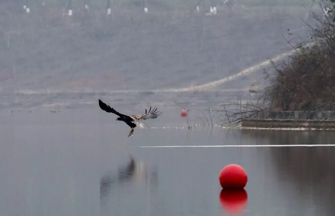 100张私藏的图片,200张绝美的图片