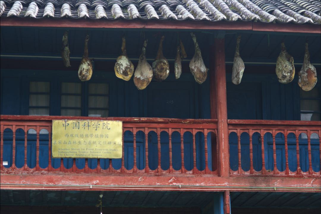 云南火腿分布图,云南火腿室内图片