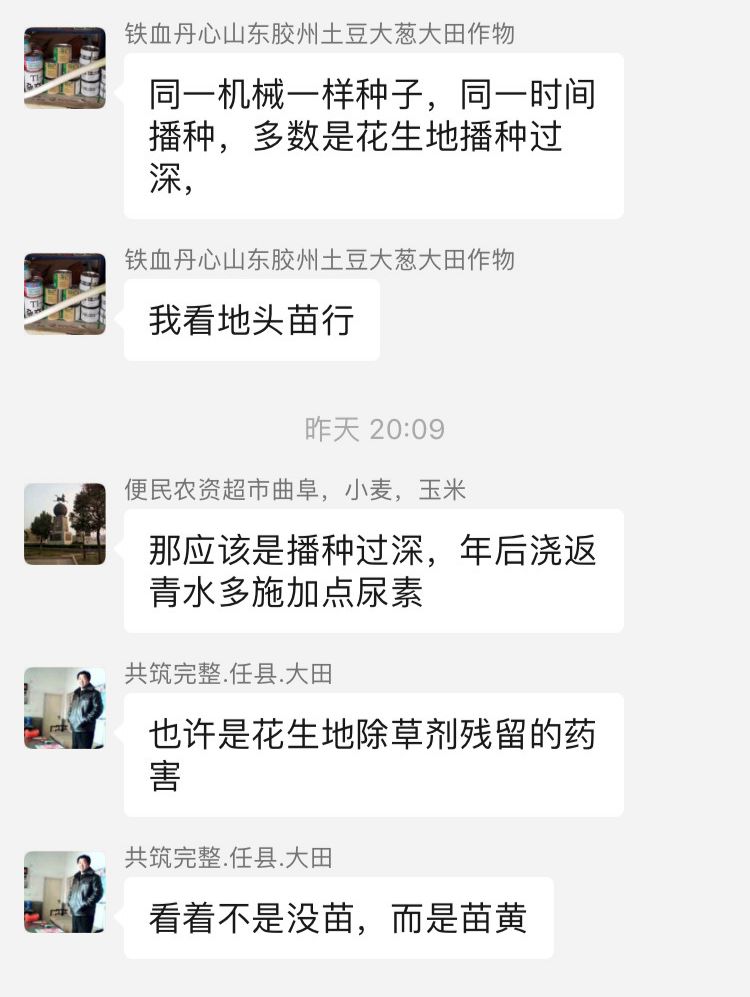 小麦最近发黄是什么原因造成,多地小麦出现发黄枯死现象