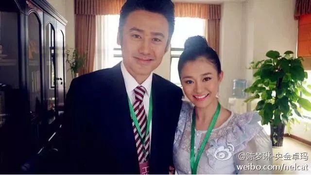 吴秀波小三被抓,吴秀波的女友被判几年