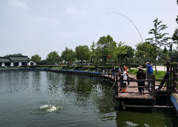 崇明好的民宿树屋,上海崇明农庄民宿