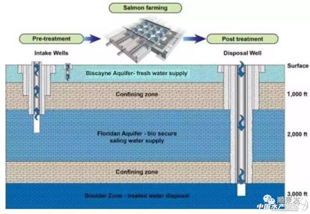 中国海鲜市场未来几年的发展,全球海鲜行业发展趋势
