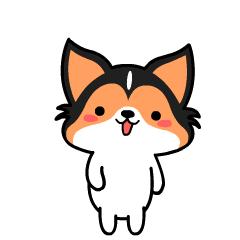 「聚焦」在80万网友见证下，包头发布获奖啦！一起尖叫吧！