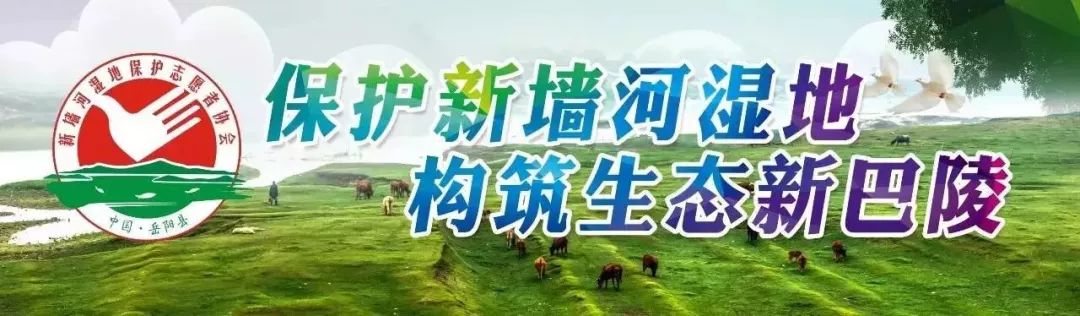 【最美劳动者】龙小荣：把幸福接到人间的使者
