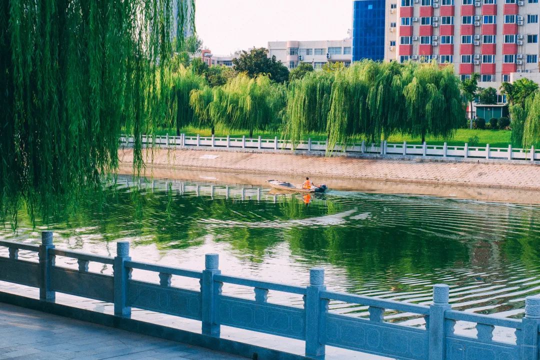 郑州欢迎你2018,2020郑州招才引智大会