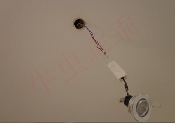 房间里进了老鼠什么办法抓最好,住高层老鼠怎么消灭