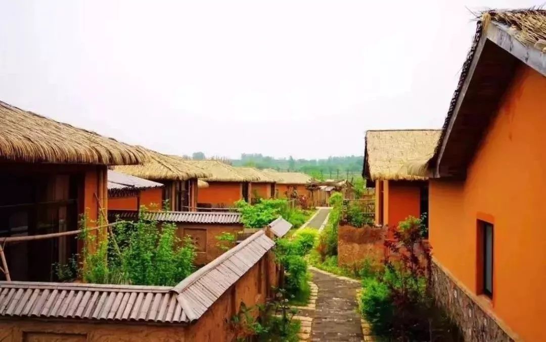 200亩，游客年超30万！这个用枯树建成的农庄，为啥这么牛？