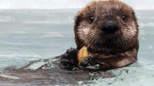 1月24日每天3分钟尽览天下事（春节期间郑州限行规则出炉/*花爆烟竹**郑州各县区全禁）