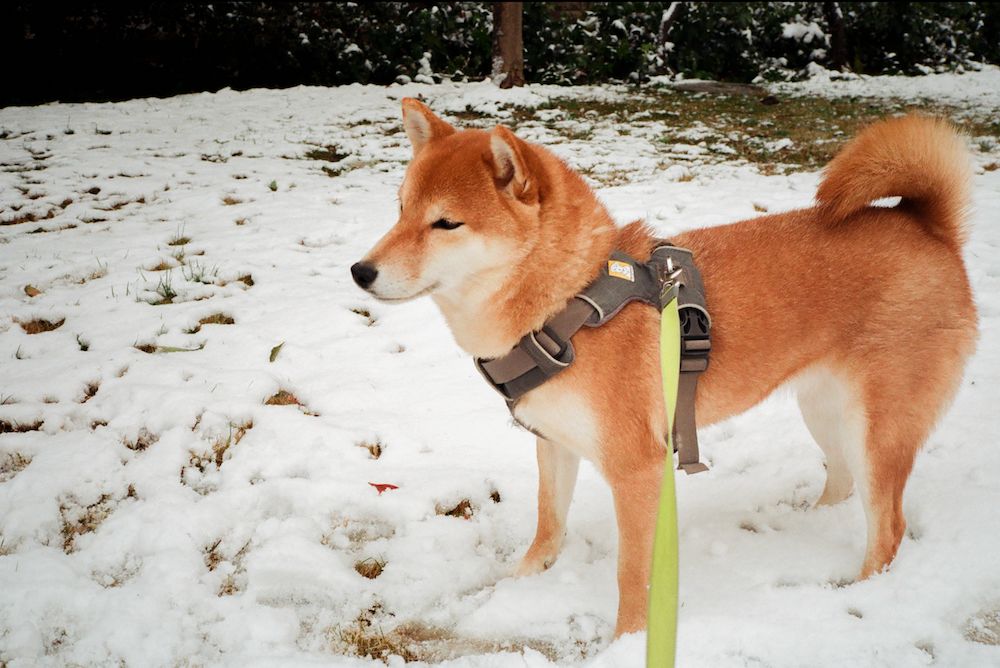 这件事,真没那么说不出口