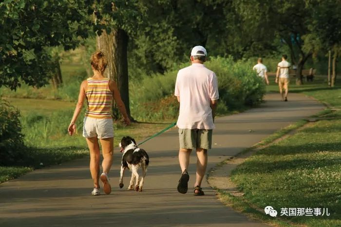 如何劝遛狗不铲屎的人铲屎,遛狗不铲屎有权打狗吗