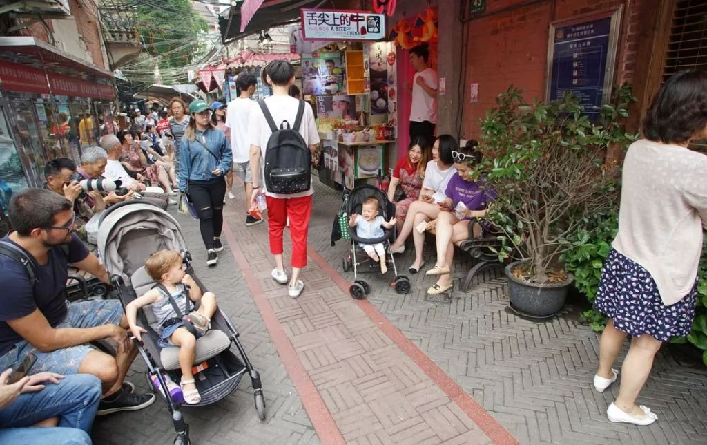 「收藏」不能错过的小美好！上海12个月行走指南来啦