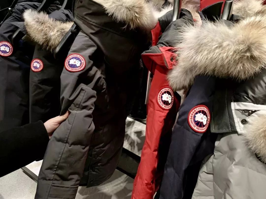 那些爱买加拿大鹅的北京人,那些买加拿大鹅的北京人