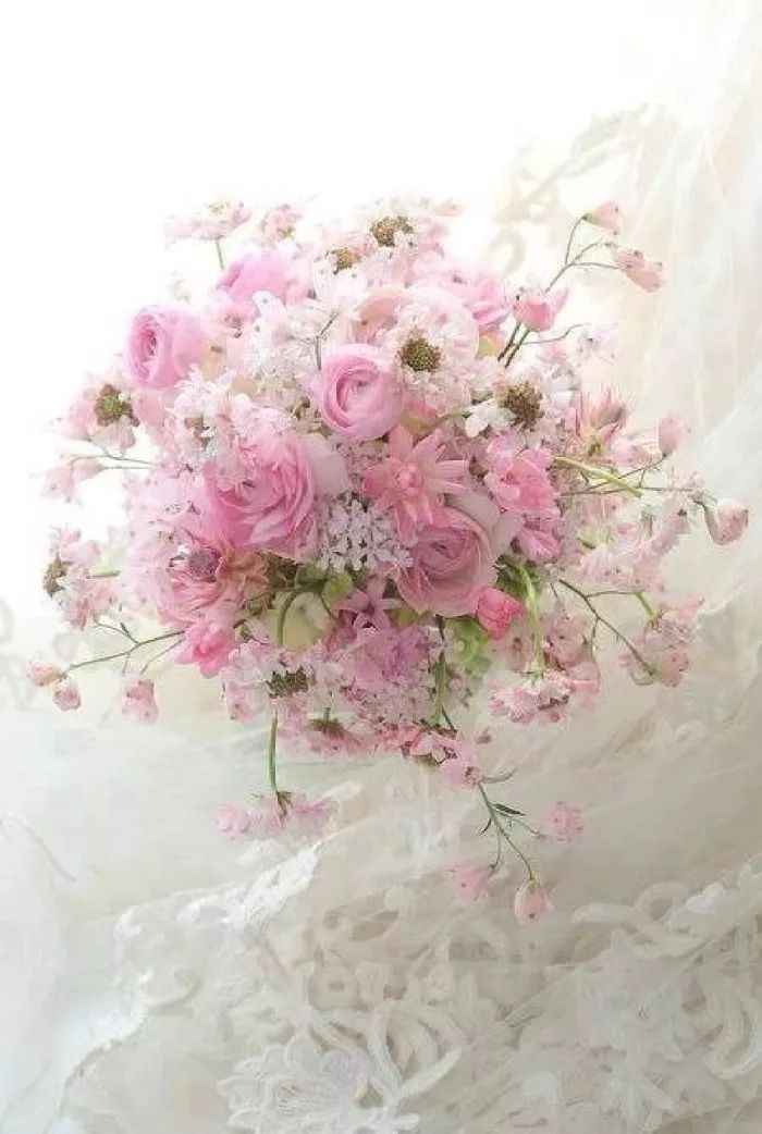 神奇的中文十人有九人读错,神奇的中文10人读9人读错