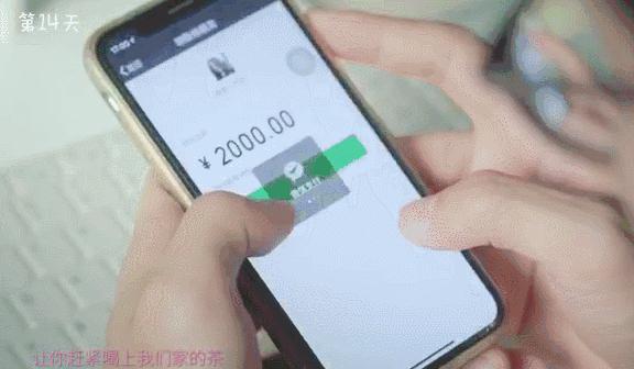 卖茶女套路大解析,卖茶女的套路与思路