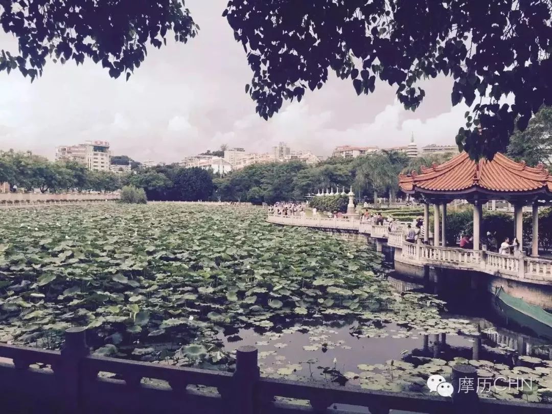 火速收藏!冬*你日**想要的阳光、骑行、美食美景都在这儿~