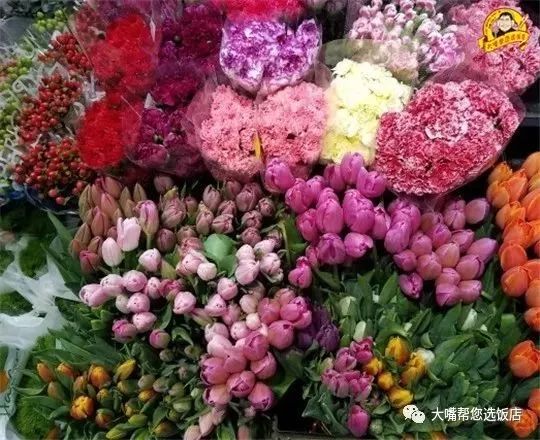 大连免费赏花好去处,逛遍大连