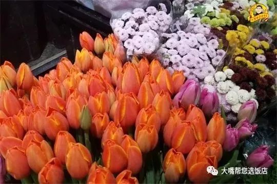 大连免费赏花好去处,逛遍大连