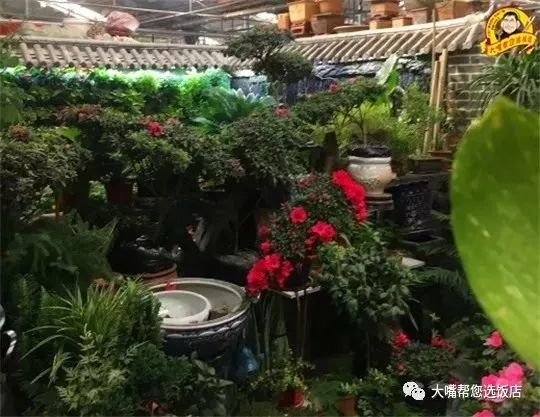 大连免费赏花好去处,逛遍大连