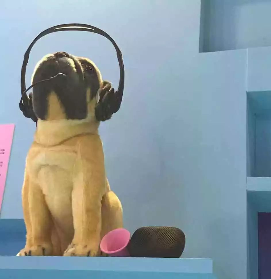 宜家也失手过！我去看了风靡全球的失败博物馆，受益匪浅