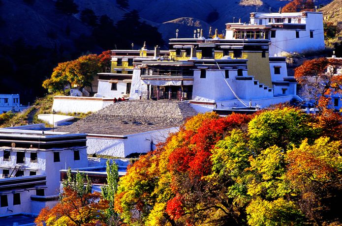 【全域旅游】五当召国家森林公园人文与自然交融互摄｜花舞人间爱心儿童节漂流图书换门票